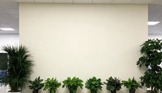 商务外包理解误区澄清与市场定位分析